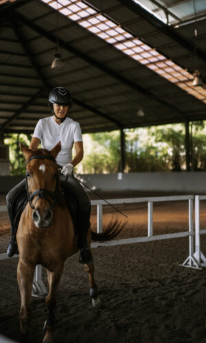 Young woman trains in horseback riding in the arena. Young Cauca